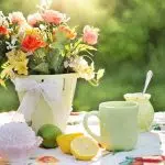 Pourquoi opter pour une pergola en aluminium ?