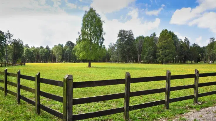 rendre son terrain constructible