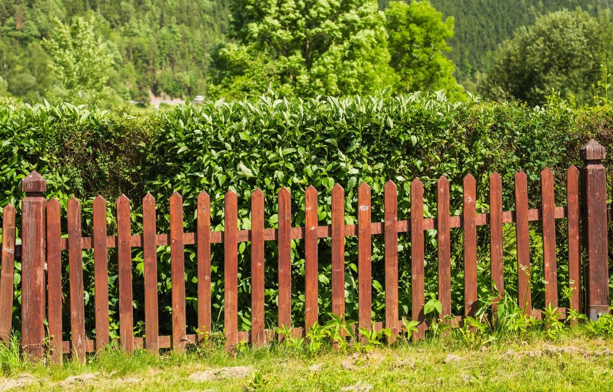 Palissades de chantier écologiques : Construire en respectant la nature